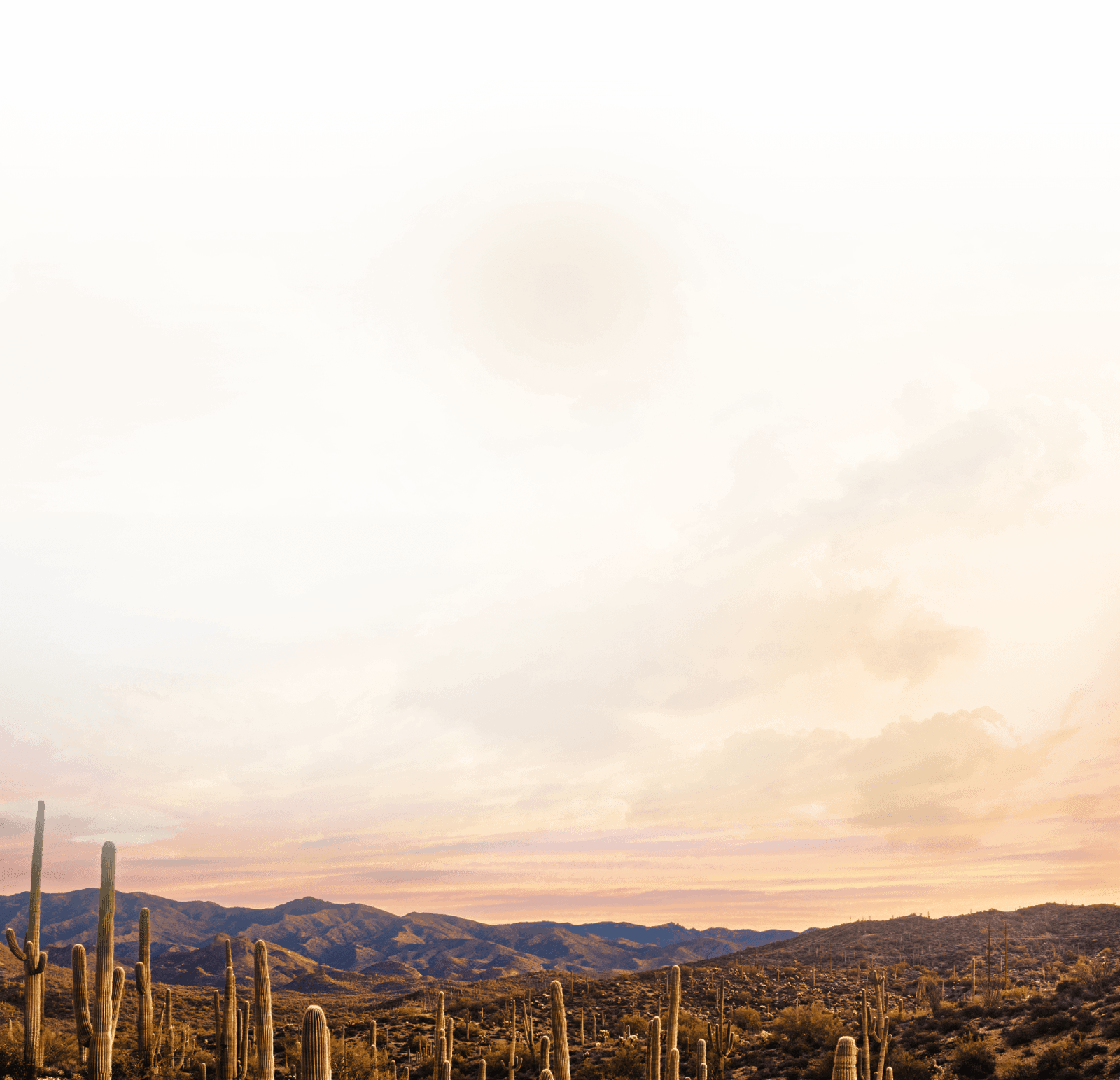 Decorative - desert sky.