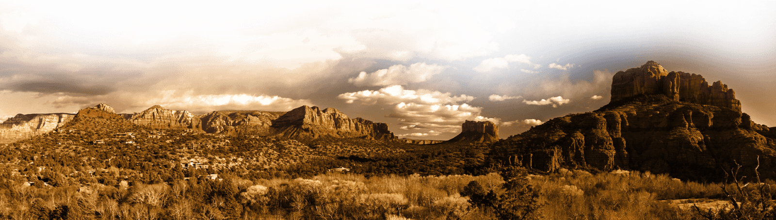 Decorative - desert landscape.